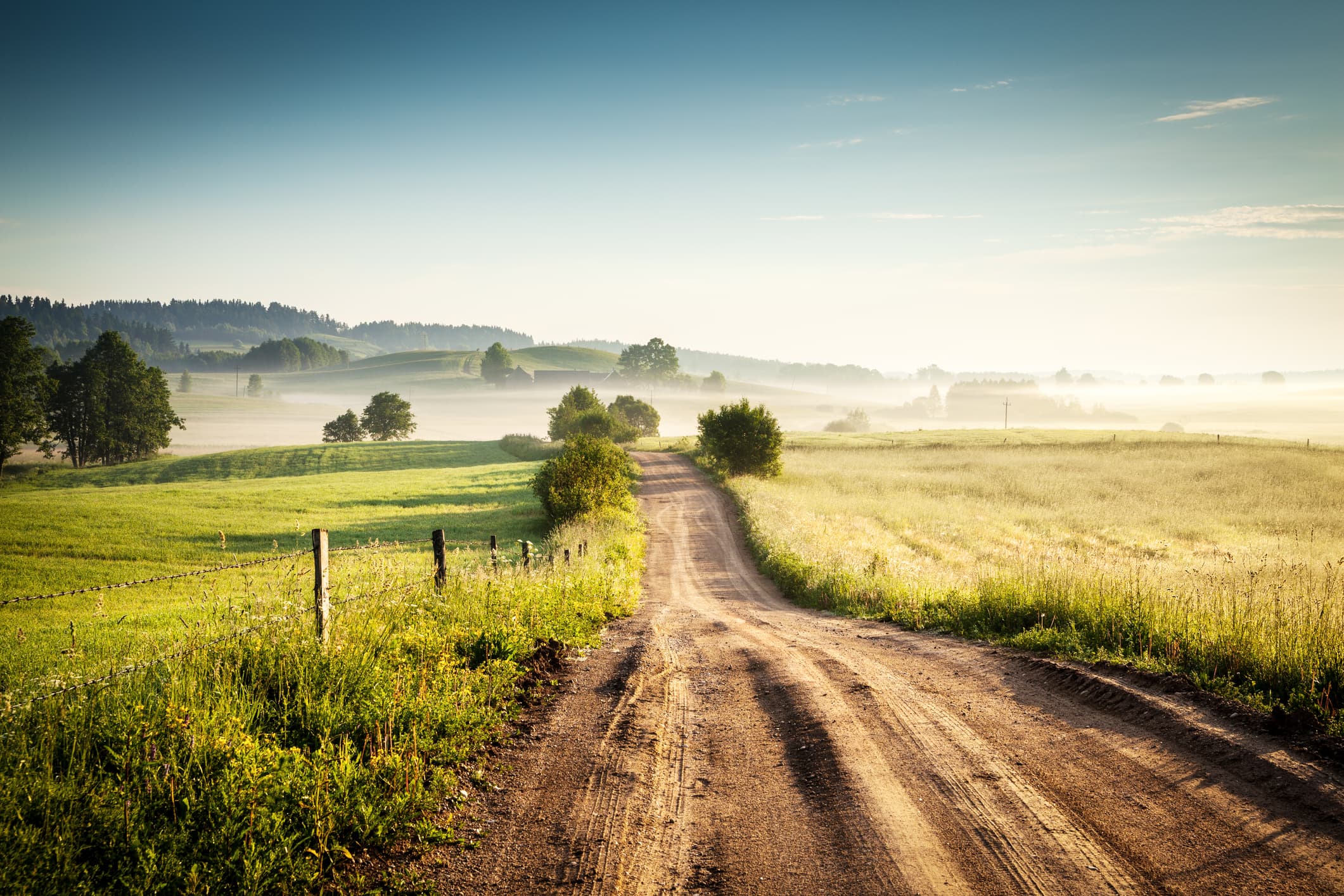 A dirt road winds through green fields and trees under a clear sky, with morning mist in the distance and sunlight illuminating the landscape.